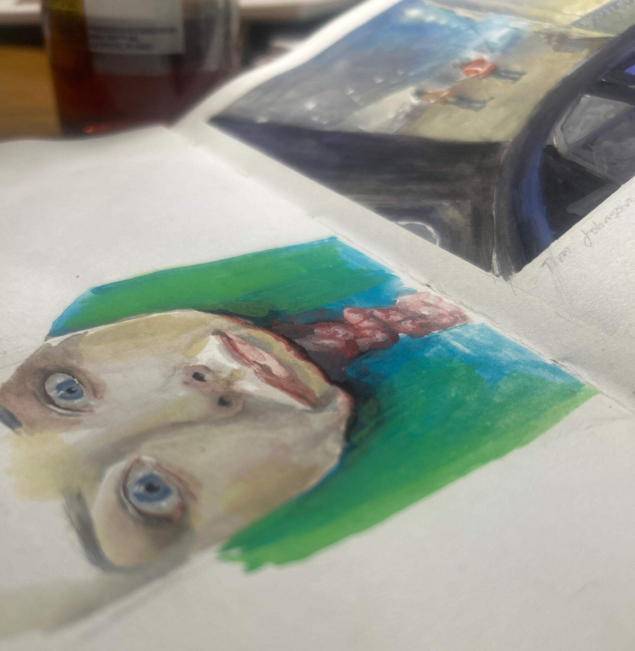 Hoya carnosa, watercolor on Canson cold press